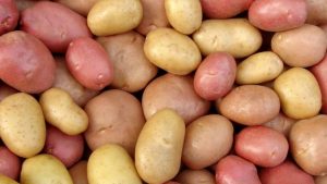 potatoes